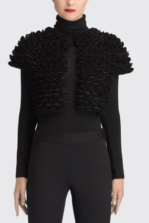 3D Texture Bolero