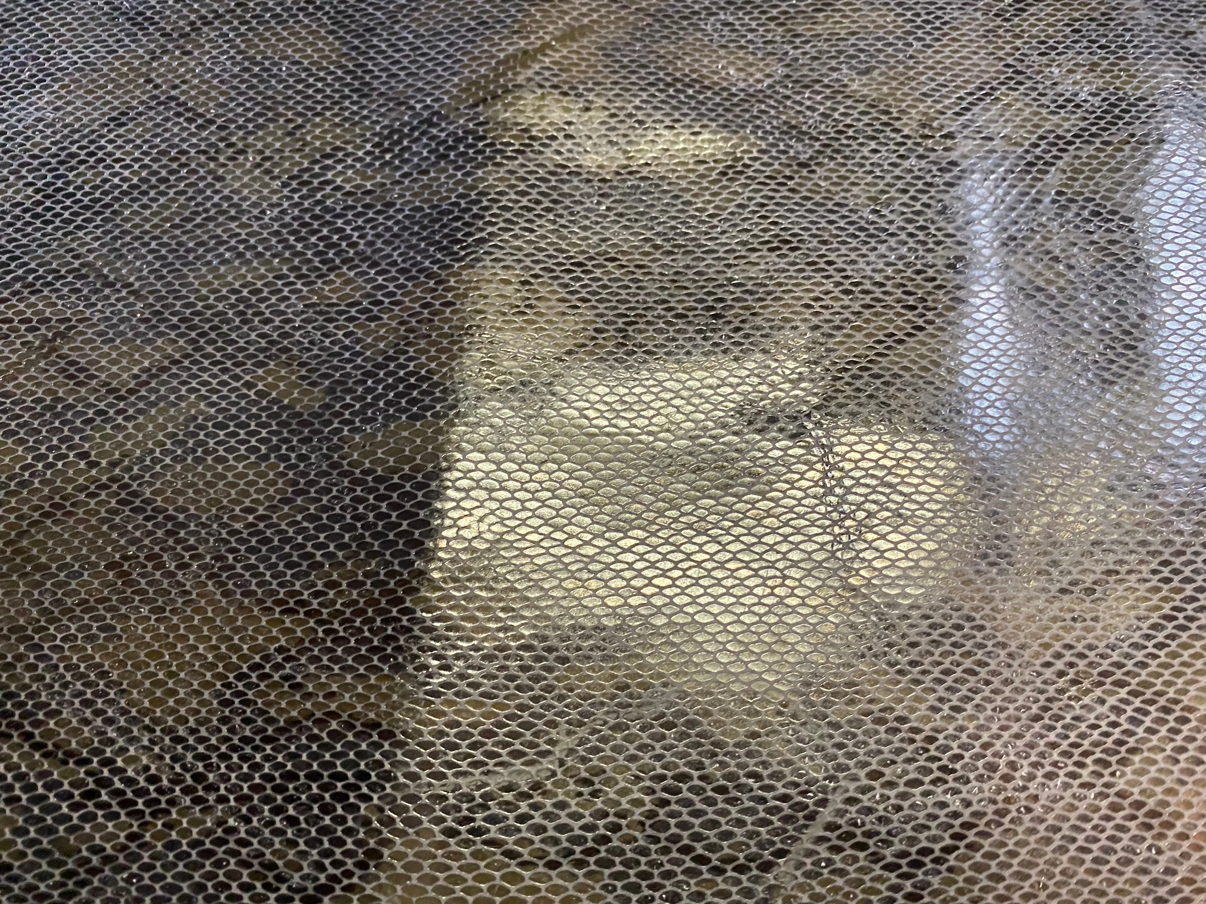 Black Camouflage Snake Print