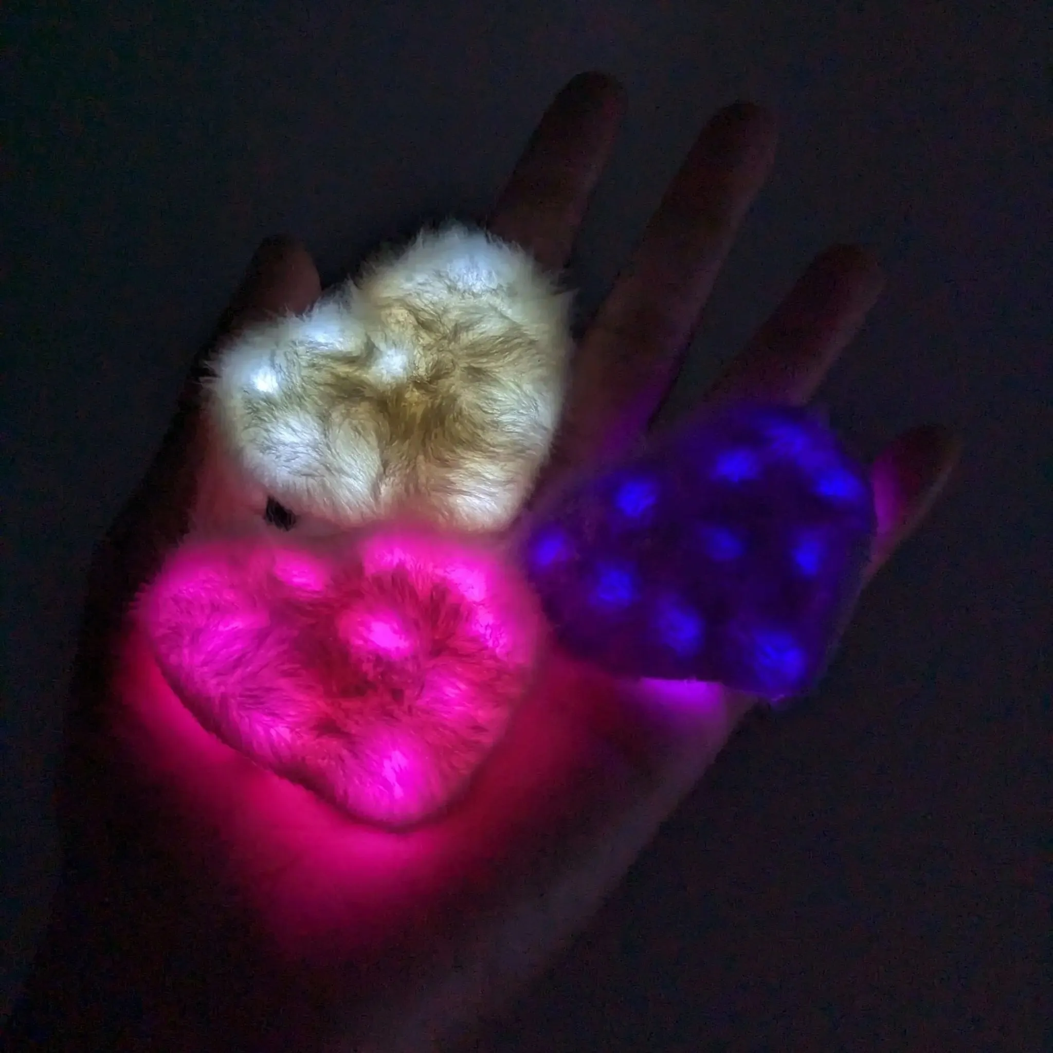 Heart Hair Clips : 3 Pack