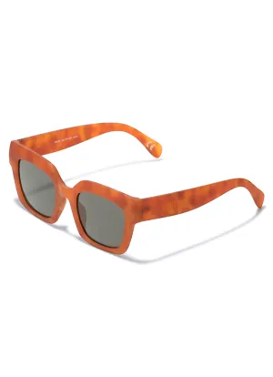 Sunglasses Vans Belden - Brown tortoise