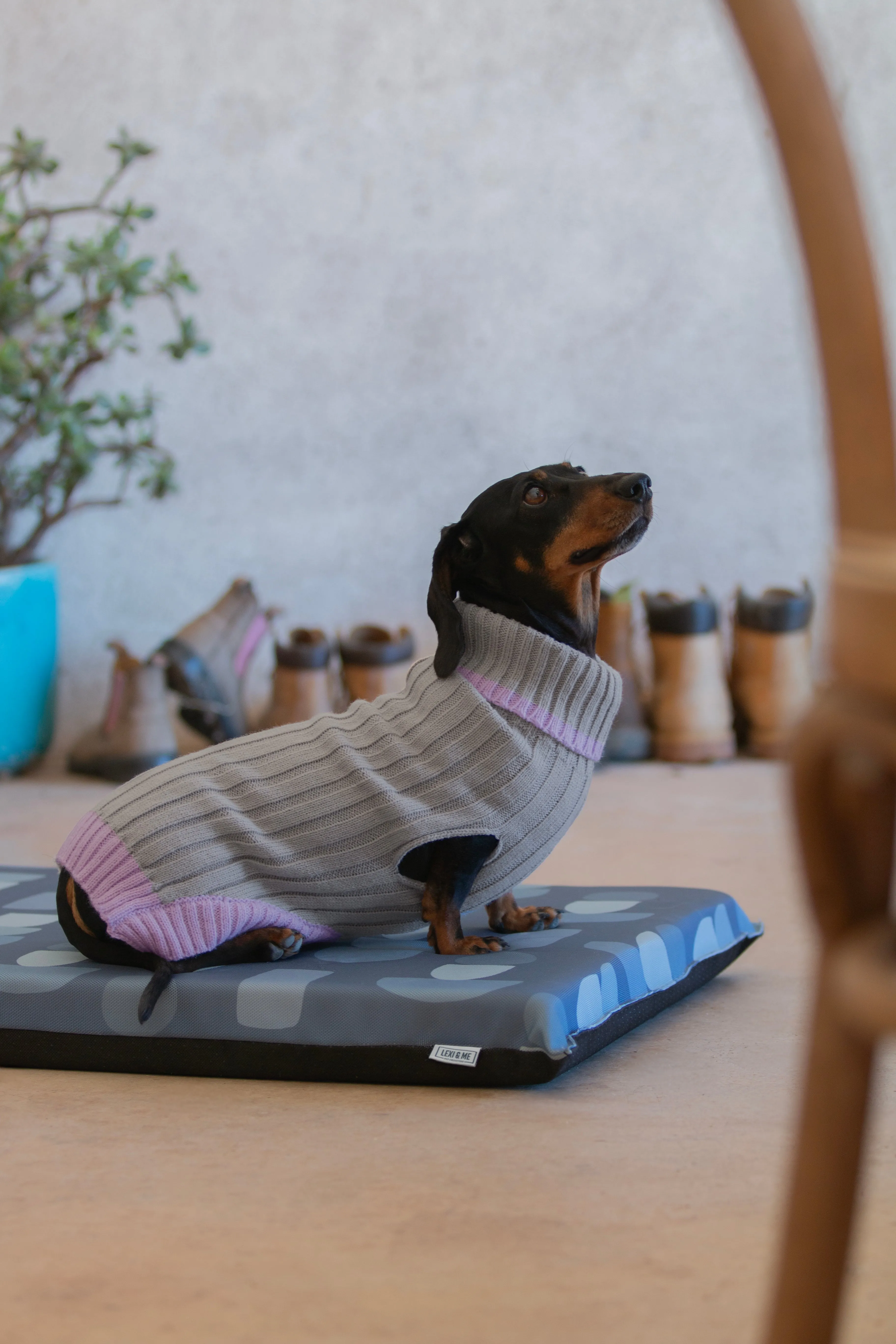 Wriggley Diggley Dog Knitwear Oatmeal Lilac
