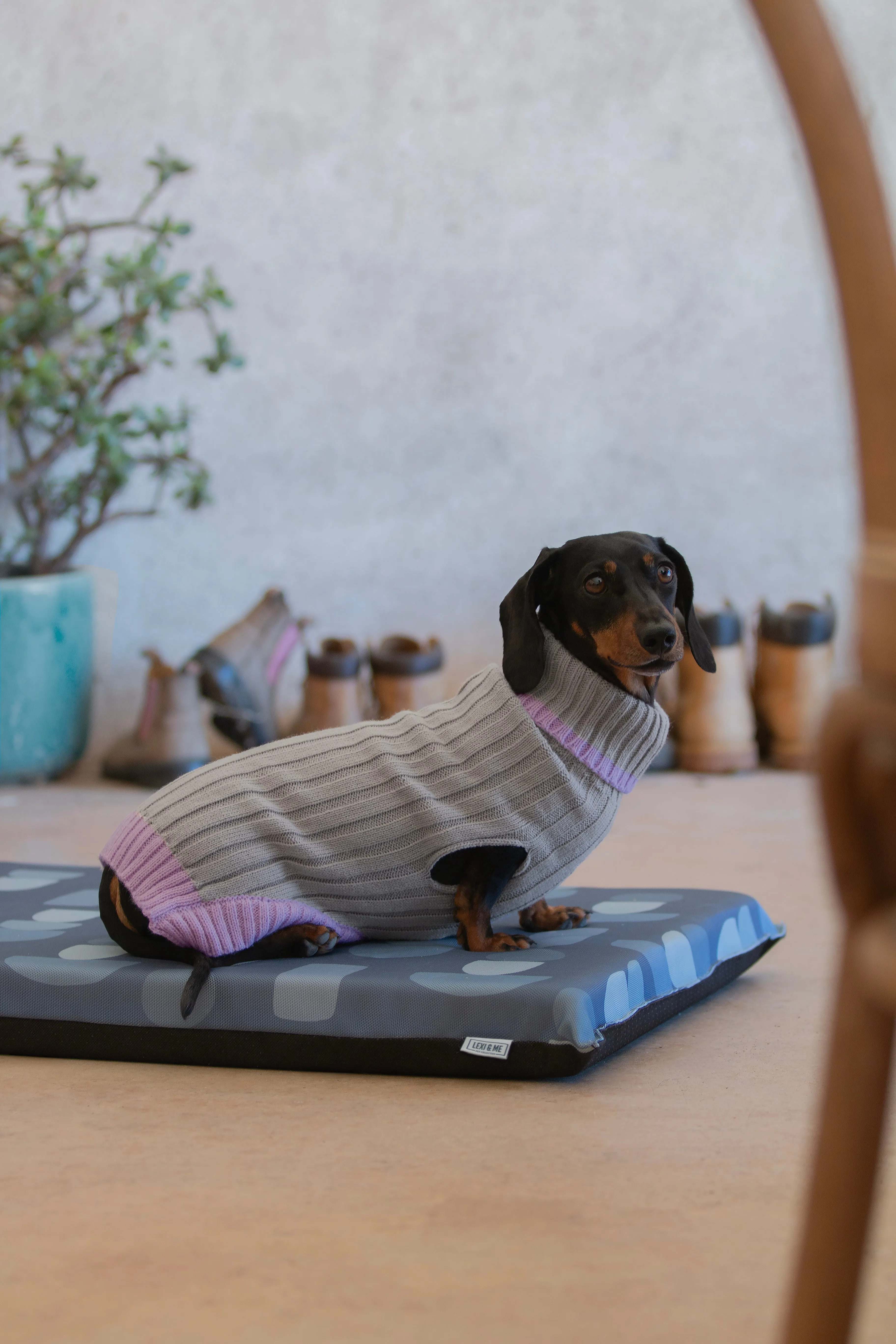Wriggley Diggley Dog Knitwear Oatmeal Lilac